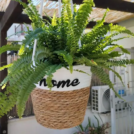 La Casetta Di דירה