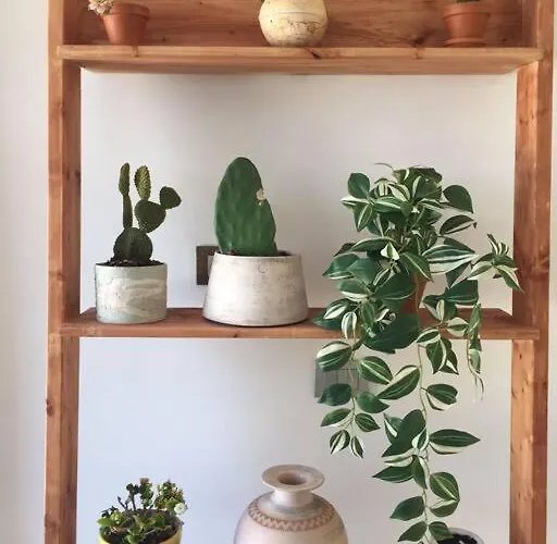 La Casetta Di רומא