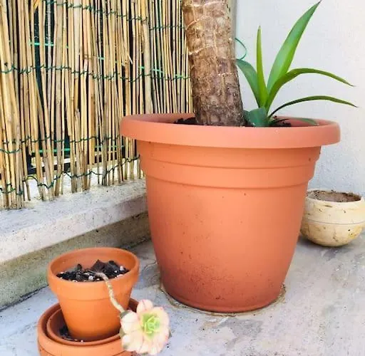 La Casetta Di דירה *